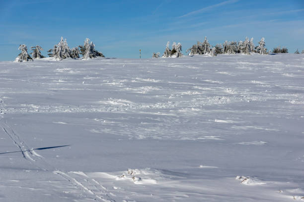 istock Winter view of Vitosha Mountain, Bulgaria 1184378652
