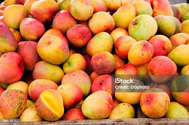 Venta Mangoes Soporte De Frutas Foto de stock y más banco de imágenes de Mango - Fruta tropical - Mango - Fruta tropical, Fruta, Fondos