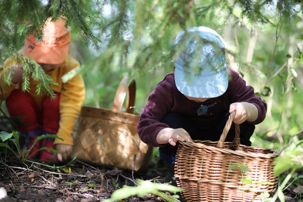 istock Children go to the forest for mushrooms 1184383674