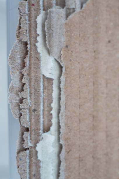 istock Torn brown corrugated Paper Box texture on white background, Close up shot, Package concept 1184385425