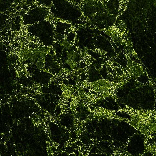 Spotted Marble Green Neon Moss Texture Abstract Swamp Morass Fen Khaki Gradient Grainy Background Filter Photography