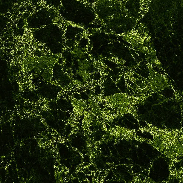 Photo of Spotted Marble Green Neon Moss Texture Abstract Swamp Morass Fen Khaki Gradient Grainy Background Filter Photography