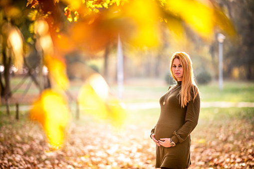 Pregnant woman enjoying the seasonal change in a gold-colored parkland.