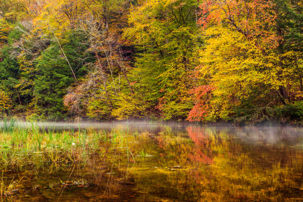 istock Brush Strokes of Autumn 1184393137