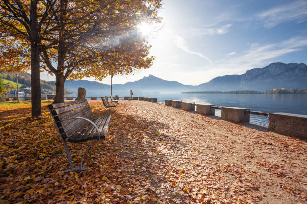 モンゼーオーストリア、秋の風景。「ベンチと木々のある湖のそばにnpromenade。カラフルな自然 - european alps austria autumn colors ストックフォトと画像