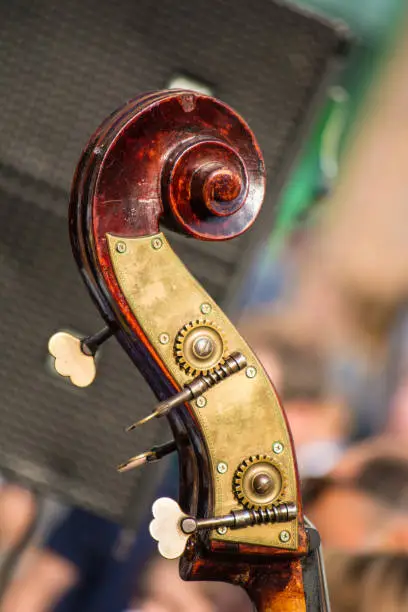 The twist of a violin with pins close up