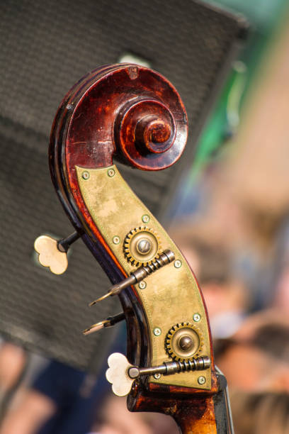 the twist of a violin with pins close up - chello imagens e fotografias de stock
