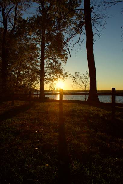 istock Sun setting over Belmont Bay with silhouette of trees and cliff 1184394597