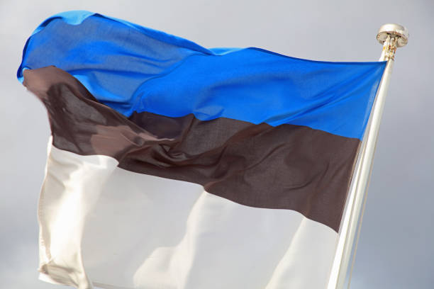 istock Flag of Estonia in the Wind 1184395073
