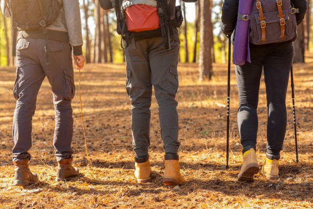 istock Legs of three hikers crossing forest in autumn 1184395110