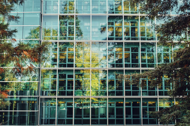 A building with a glass wall reflecting trees. stock photo