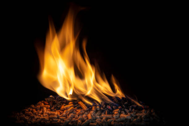 burning wood pellets, living flame and clearly visible. concept of biomass and alternative and natural fuel.