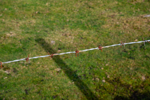 A single line of barbed wire on a fence