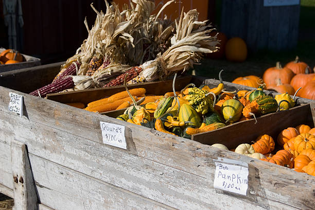 istock Autumn Farmers Market 118440913