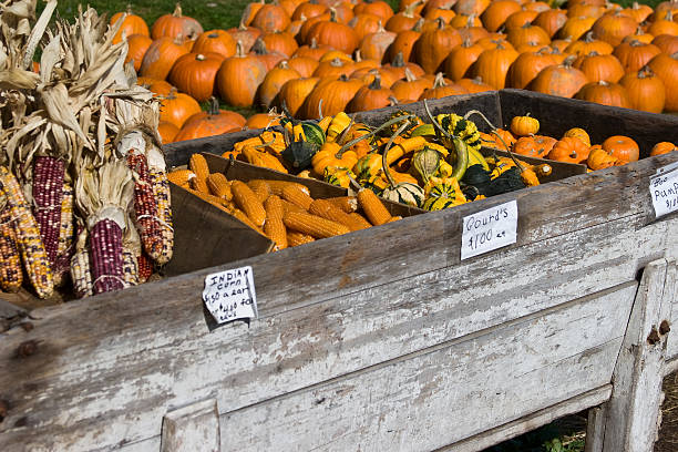 istock Autumn Farmers Market Stand 118440917