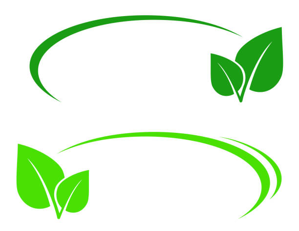 ilustraciones, imágenes clip art, dibujos animados e iconos de stock de fondo con hoja y línea - tea crop leaf freshness organic