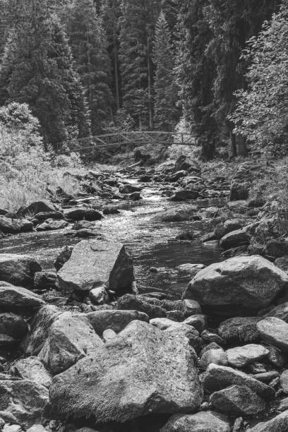 istock Sumava national park, river, Black and White 1184414275
