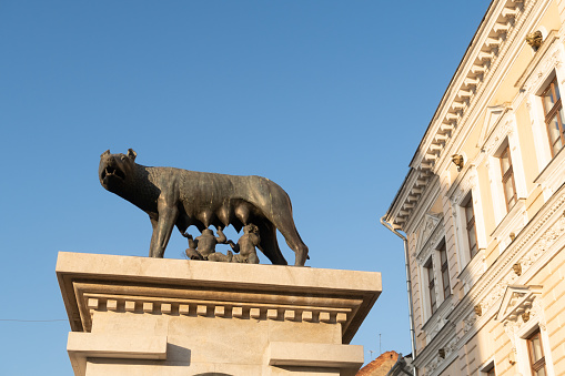 Cluj Napoca, Romania - 24 Oct, 2019: The Capitoline Wolf Statue (Statuia Lupoaicei) in Cluj-Napoca is located on Eroilor Boulevard in the city centre and was built in 1920.