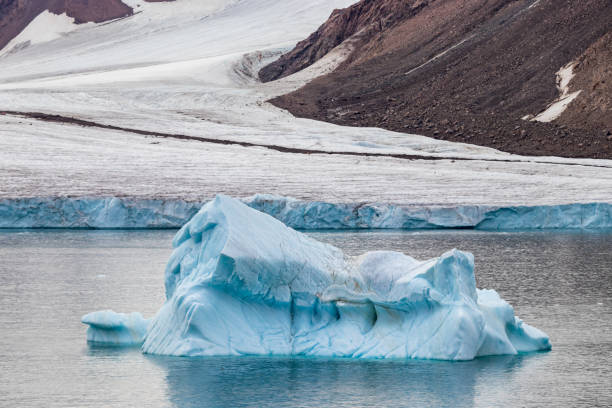 iceberg vicino al bordo di un ghiacciaio nell'isola di ellesmere, parte della regione di qikiqtaaluk nel territorio canadese del nunavut - ellesmere island foto e immagini stock