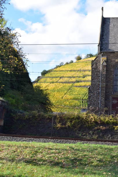 istock Mosel valley, waterfront Kobern-Gondorf 1184416663