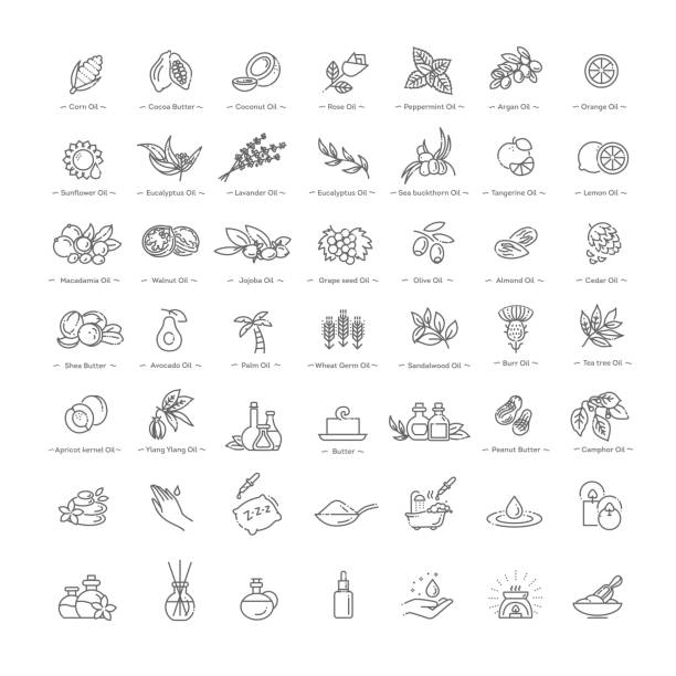 Vector set of natural ingredients and oils for cosmetics in linear style Set vector icons graphic thin outline in a linear design olive fruit stock illustrations
