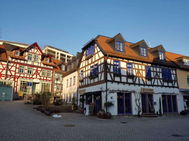 istock Half-timbered houses, Weiher meadow 1184420211