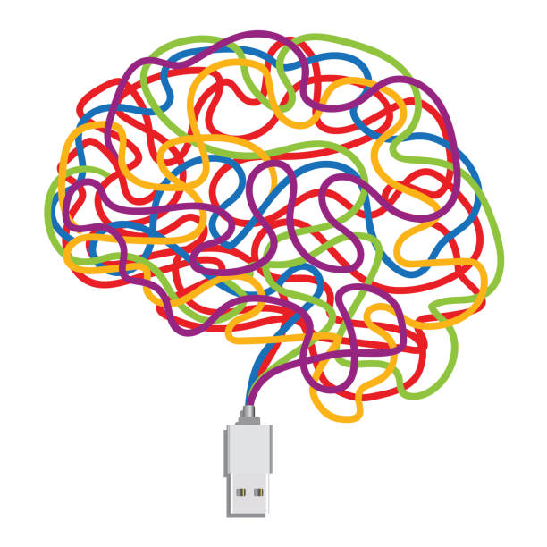 ilustrações, clipart, desenhos animados e ícones de um pendrive simbolizando a inteligência artificial toma a forma de um cérebro. - network connection plug