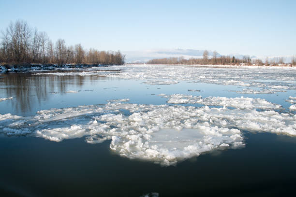 istock Hiking at Barnston island in winter 1184421409