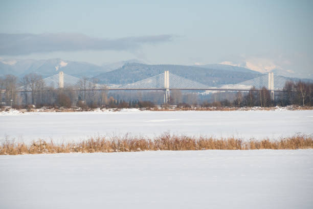 istock Hiking at Barnston island in winter 1184421413