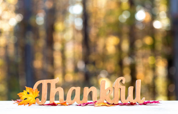 Thankful message Thanksgiving theme