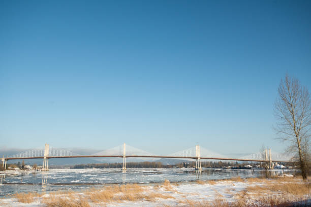 istock Hiking at Barnston island in winter 1184421709