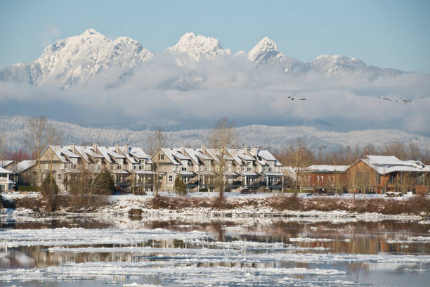 istock Hiking at Barnston island in winter 1184421822