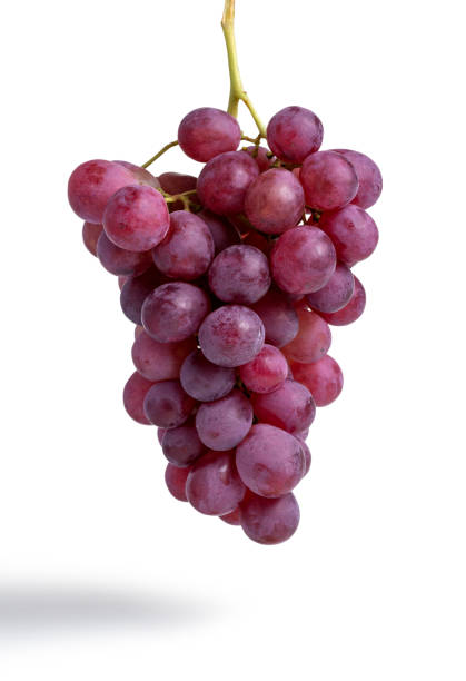 흰색 배경에 고립 된 붉은 포도의 무리 - red grape 뉴스 사진 이미지