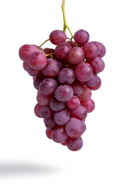 istock Bunch of red grapes isolated on white background 1184422629