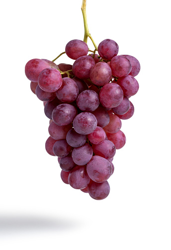 Bunch of red grapes isolated on white background, agricultutr
