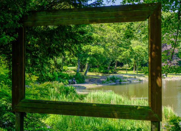vue à travers le grand cadre creux d'image d'un étang, des arbres et d'un homme s'asseyant sur un banc au parc de bails à newcastle, angleterre - bench forest pond autumn photos et images de collection
