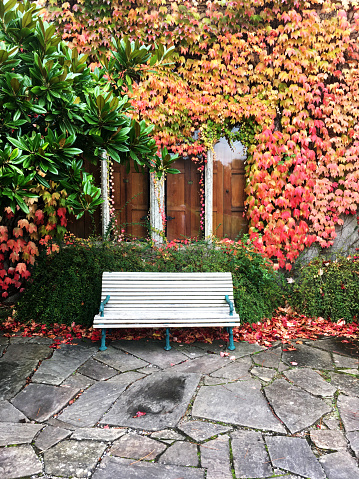 Garden Seat outside in Autumn