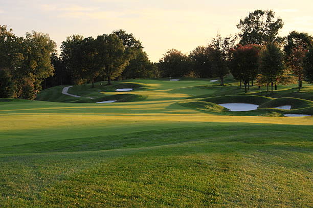 golfplatz im herbst bei sonnenuntergang - golf landscape golf course tree stock-fotos und bilder