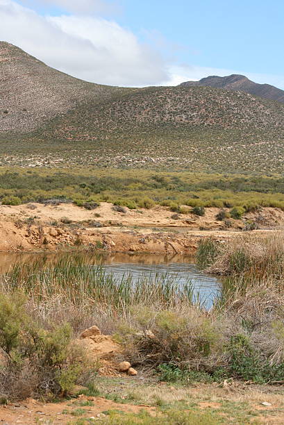 istock South African Mountain and Water Panorama 118443033