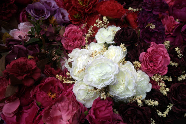 flores de imitación multicolores - alcatraces de colores fotografías e imágenes de stock