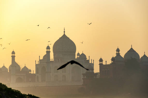 istock Taj Mahal Sunrise 1184437445