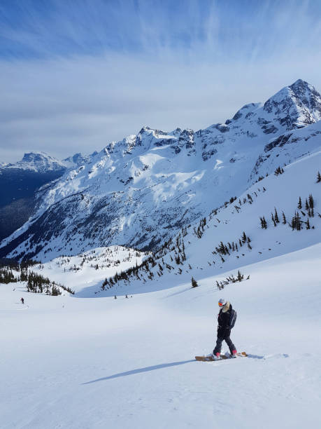 istock Unrecognizable female heliboarder observes the beautiful valley below her. 1184437915