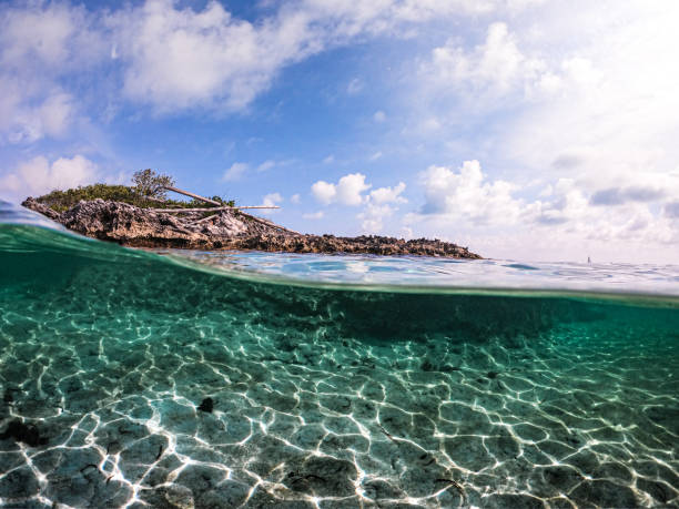 istock Isla Mujeres Cancun 1184442093