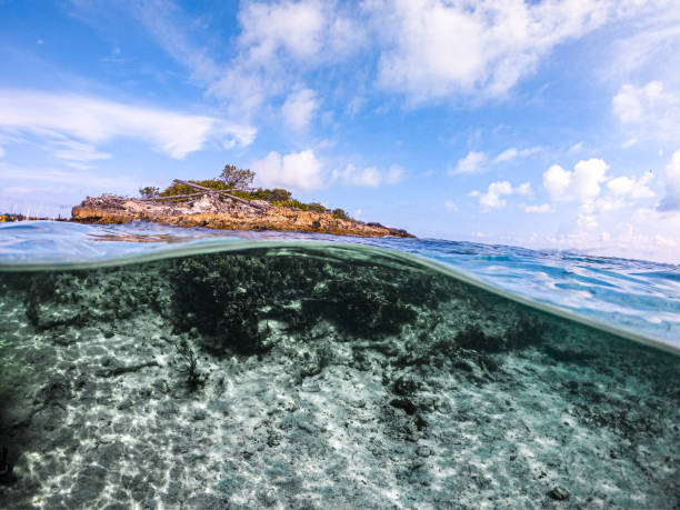 istock Isla Mujeres Cancun 1184442211