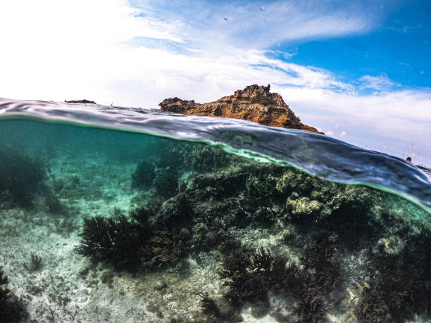 istock Isla Mujeres Cancun 1184442790