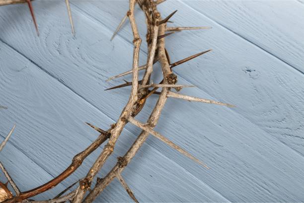 istock Crown of thorns. 1184446238