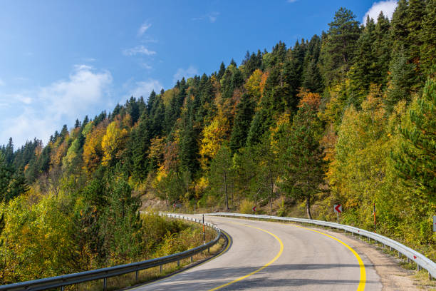 istock Asphalt road in colorful autumn forest under blue sky 1184447308
