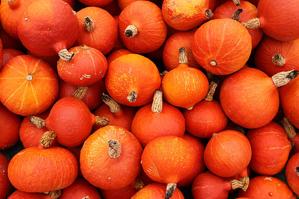 Hokkaido Pumpkins stock photo
