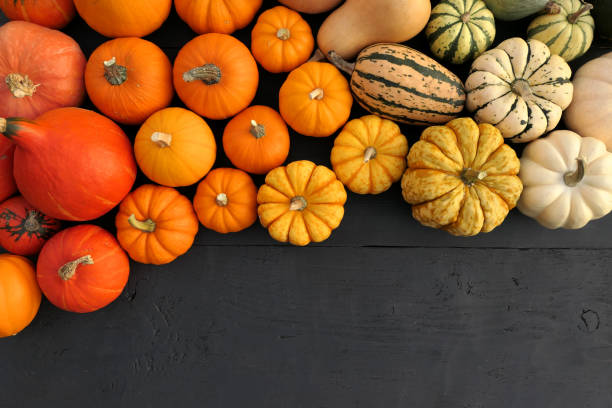 istock Pumpkins colorful autumn background border. 1184449983