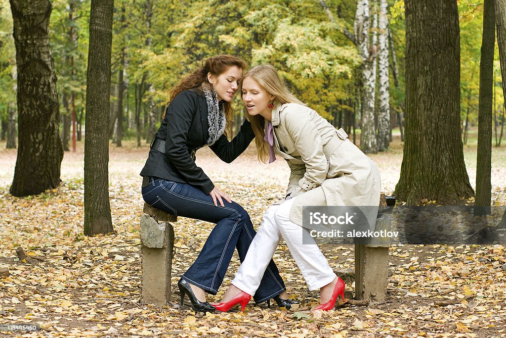 Deux femmes de parler dans le parc de l'automne - Photo de Adulte libre de droits